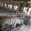 Famous Goldenest Automatic metering feeding system for pigs