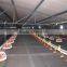 Most Popular Feeding Equipment for Poultry and Livestock