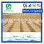 Drip Tape in Irrigation System, Irrigation drip tape
