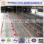 2016 Hot Sales Professional poultry farming equipment