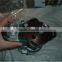 Yangdong 385 Y385 Y385T Diesel Engine Parts Fuel Injection Pump