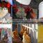 Well experienced automatic poultry drinkers, chicken nipple drinker HJ-DN001