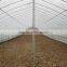 Hot sale new tunnel type mushroom shed
