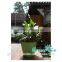 palstic garden flower pot
