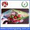 Printed Plastic Zip Lock Fruit Bag With Handle