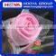 Beautiful Rose Flower Gift Cheap Cake Towel