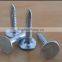 flat head clout nail/ roofing nail with factory price