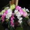 artificial orchid flowers for wedding decoration gifts