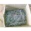 Galvanized Common Nail