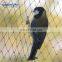 Plant Supply Agricultural anti-bird net / Invisible Anti bird net / Garden Vineyard bird netting