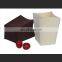 Decorative Felt Flower Vase / Felt Pouch