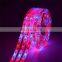DC12V 300LEDS 5Meters Per Roll Red:Blue 3:1,4:1,5:1 Led Grow Strip Tube Light