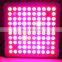 110V/220V 300W Cob LED Grow Light For Indoor Hydroponics Plants Growing