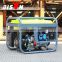 BS2500D(E) BISON good quality cooper wire easy start 4 stroke clean power  gasoline generators small size