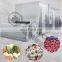 China freeze drying equipment Frozen Vegetable Production Line/Green Peas Quick Freezing Processing machine