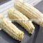Dried Corn cob From Vietnam