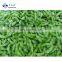 Sinocharm BRC-A Approved  IQF Soybean Sweet fresh  green Frozen Edamame