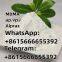 Pharmaceutical Chemical CAS No. 3166-74-3 Bulk Stock Price eti-zolam akb-48 MDMA APVT EA2201 AP-237 2-ME