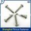 China gold manufacturer high technology fastener bolt screw