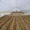 Agriculture use HDPE plants protection net