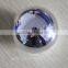 beautiful ball shape plastic loose powder case