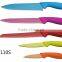 Ceramic Coating Knives set with PP handle