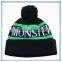high quality 100% acrylic winter hat custom embroidered beanie
