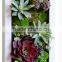 2016 Wall Mounted Artificial Succulent Plants Wall Art Decor