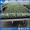 Hot selling galvanized growing greenhouse rolling benches systems for commercial greenhouse
