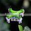 FY804 super mini rc flyer,2.4g 4ch hand-thrown drone headless mini copter