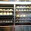 Quickly Dim Sum/ Hot Food Warmer Showcase with Lighting