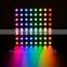New Arrival 16*16 Pixels WS2812 Chip SMD5050 RGB with WS2811 IC bulit-in LED Digital Flexible Panel Light