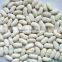 we are supply Medium white kidney beans with good quality for sale