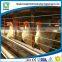 Modern steel structure chicken hangar