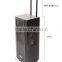 high power 10 inch trolley amplified active speaker with bluetooth wireless MZ-420