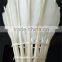 6 Pieces Shuttlecock Feather Badminton Balls White for Training Outdoor Sports