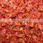 dehydrated tomato