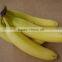 fresh yellow banana