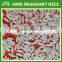 Jasmine White Rice 5% broken - best quality