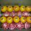 weight of Navel and Valencia Orange from Egypt in 18 kg cartons