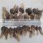 pickled oyster mushroom raw grey oyster mushroom price whole and sliced oyster mushroom