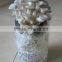 king oyster mushroom spawn growing kit