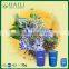 Cold pressed best price organic Borage seed Oil essential oil cure PMS