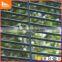 2016  Hot sales Galvanized better visibility premier anti climb fence