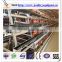 2016 Hot Sales chicken cage cooling