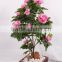 SJ3000102 Indoor bonsai peony flower plant plastic tree