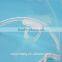 Factory Newest Plain Clear Reusable Plastic Free Samples Available Transparent Sanitary Face Mask for Food Service