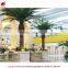 PU high quality outdoor indoor Artificial coconut palm tree