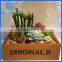 Handmade Wooden Flower Pot