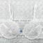 OEM Hot Sale Sexy Embroidery Lace Underwear Women bra panty set